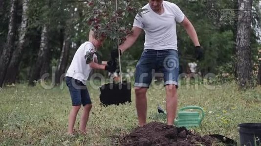 欧洲父子一起种了一棵梅树视频