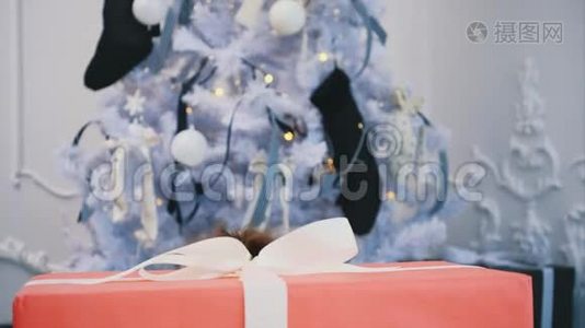 一个孩子从礼物盒后面出现，嘴巴张开，揉搓着她，这是一个特写新年时光的视频视频