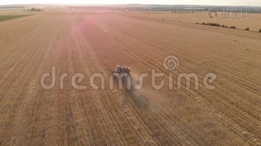 日落时分联合收割机农业机械收割黄金熟麦田的鸟瞰图。 收获粮食视频