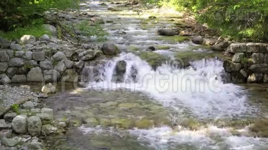 森林小溪里的水流过小石栅，两边都是树，阳光照在背景上视频