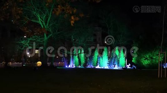 美丽的圣诞树灯，奥地利的城市装饰视频