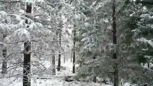 4k空中风景，攀登一棵雪树，露出令人叹为观止的山脉视频