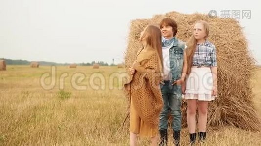 三个少年站在田野的干草堆旁望着天空视频