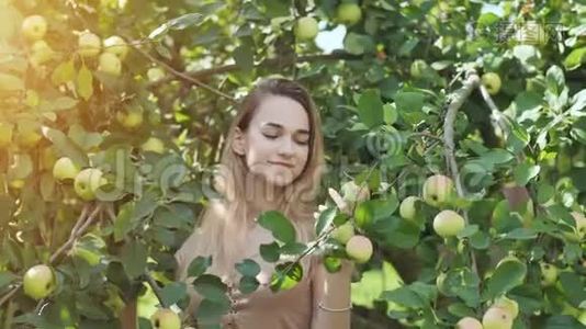 美丽的17岁女孩金发碧眼，在苹果树的树枝上摆姿势视频