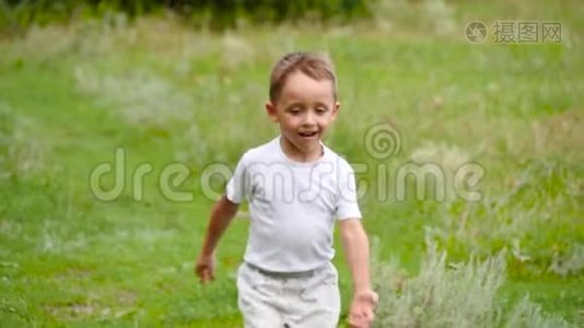 一个可爱的孩子穿过森林附近的绿草视频