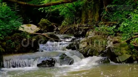 快，石山野河在茂密的绿林中流淌..视频