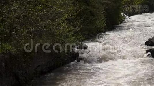 快速的河流。视频