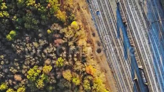 空中无人机织着五颜六色的树木和火车，在铁路上令人惊叹的秋鸟之眼视频