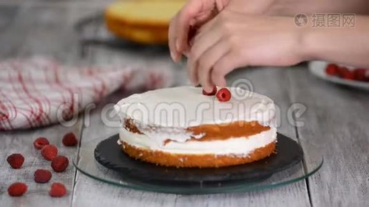 女人把覆盆子放在蛋糕上。 制作美味蛋糕的过程..视频