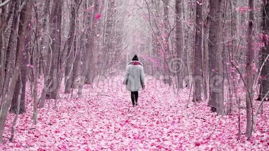 年轻女子独自走在紫色森林的小径上。 道路上粉红色的叶子或花瓣。 后景。 旅行、自由视频
