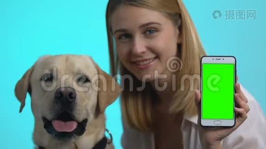 快乐狗主人展示智能手机绿色屏幕，可爱的宠物看相机，应用程序视频