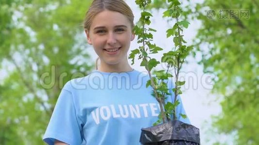 可爱的金发女人，在公园的镜头里抱着树苗微笑，生态志愿者视频