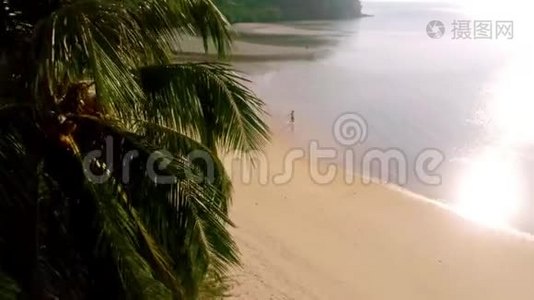 热带天堂岛风景中的沙滩线旁的女性剪影视频