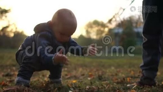 孩子掉下来散步。 那孩子平静地站起来，摇下把手。 在秋日公园的夕阳下漫步视频
