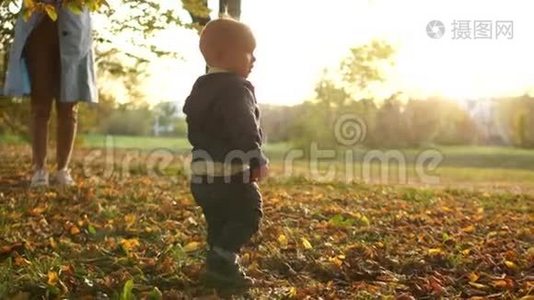 幼儿和妈妈一起沿着秋天的落叶在公园里散步.. 妈妈和宝贝，公园里秋天的日落视频