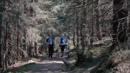 穿着T恤衫的年轻游客在斯洛文尼亚喀尔巴阡山的一条小路上视频