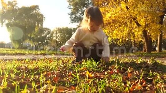 孩子在夕阳下的草坪上玩耍。 小女孩在草地上停在公园里。视频