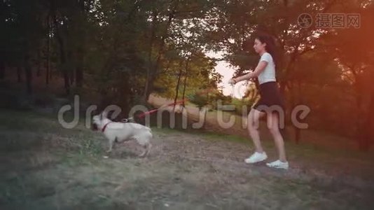 年轻的黑发女子与法国斗牛犬在秋天公园散步视频