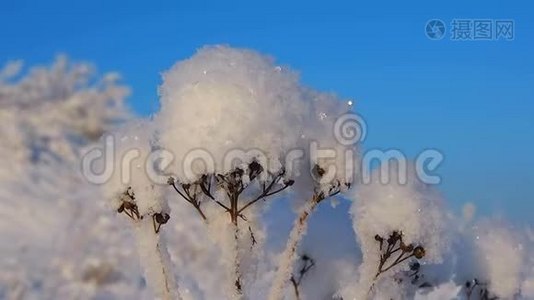 冬天的水晶花。视频