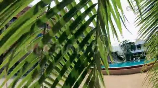 酒店正被射穿热带植物的叶子视频