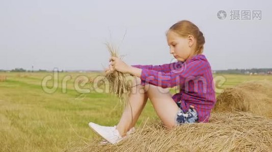 少女收获时间稻草干草堆夏田视频