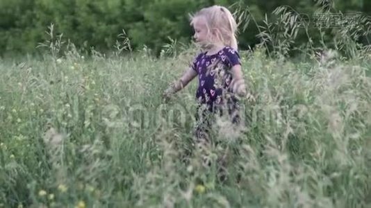 日落时，一个小女孩在高高的草地上玩耍。视频