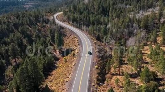 车辆行驶在A山口沥青蛇纹石道路上穿越松林视频