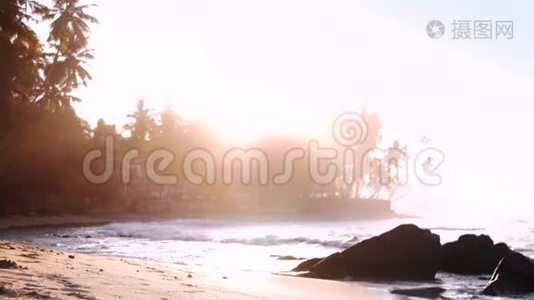 沙滩上的泡沫海浪反射阳光视频