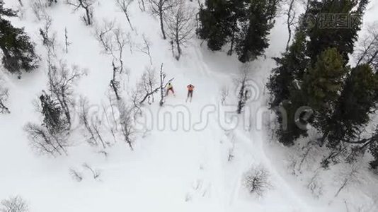 专业滑雪者的侧影沿着林道移动视频