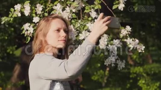 快乐的年轻女子正在一棵盛开的苹果树旁用智能手机拍摄自拍照片，春天的城市公园就在那里视频