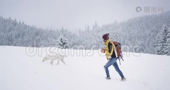 一个人走在白雪森林的顶端，身后有一只白山狗，周围景色令人惊叹视频