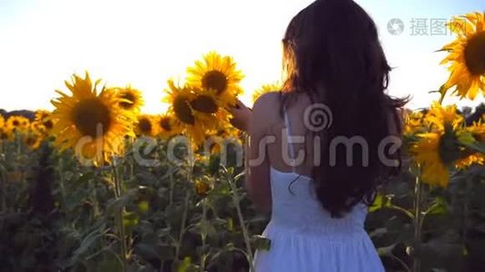 年轻的女孩手里拿着一束鲜花沿着向日葵的田野走着。 阳光照在背景上。 跟随女人视频