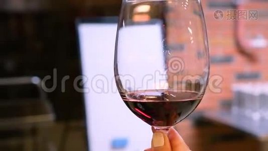 葡萄酒厂红酒的品质控制视频
