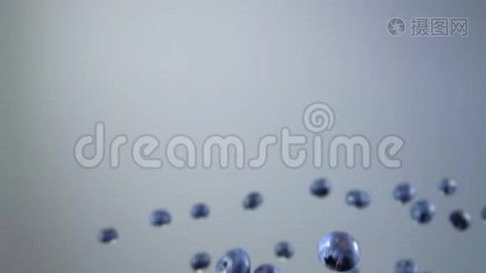 蓝莓在灰色背景上跳跃和飞翔视频