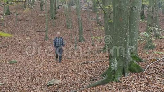 秋天森林里的中年男子徒步旅行视频