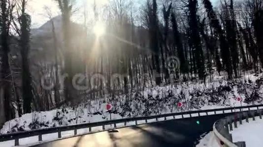 阳光透过树木照耀冬天的雪林视频