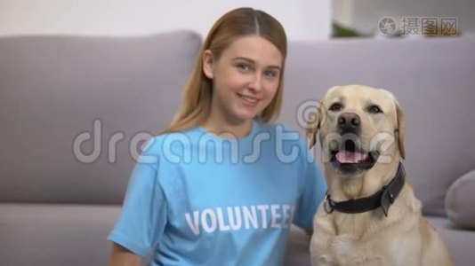 坐在可爱的流浪拉布拉多犬社会收养项目附近的女性志愿者视频