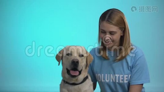 微笑的女志愿者带着可爱的狗看着镜头，帮助动物视频