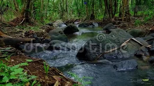 在泰国PhangNga岛的高耀岛热带雨林中，溪流流过覆盖着苔藓的岩石视频