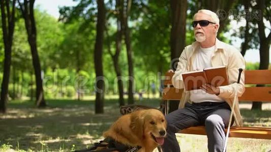 盲人在阅读书籍时感到快乐，与狗一起休息，有社会安全感视频