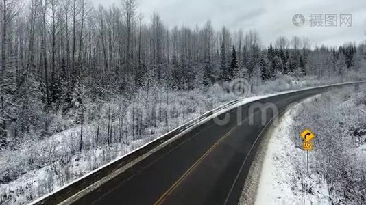 无人机照相机沿着一条高速公路行驶，在一片松树林中有黄色的标志视频