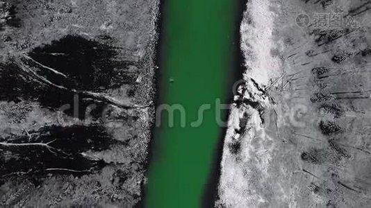 空中无人驾驶飞机在青山绿水和白雪皑皑的松树海岸上空盘旋视频