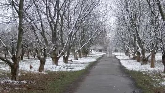 林，果巷在多云的春季天气下最后一场雪..视频