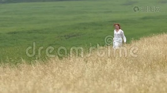 在两片田野之间散步。视频