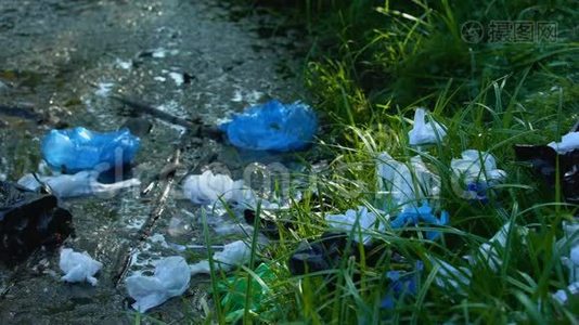 从森林污染的湖泊拿塑料袋的人，废物回收问题视频