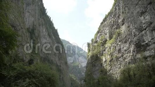 山峡、山林、树木。阿布哈兹地区。山景。视频