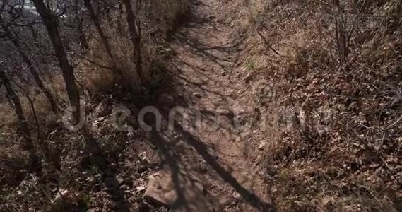 盐湖城山上一条徒步小路的平底锅视频