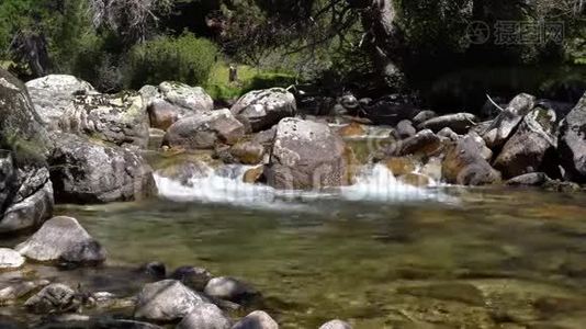 河水清澈的山涧流在森林中的大石头间.视频