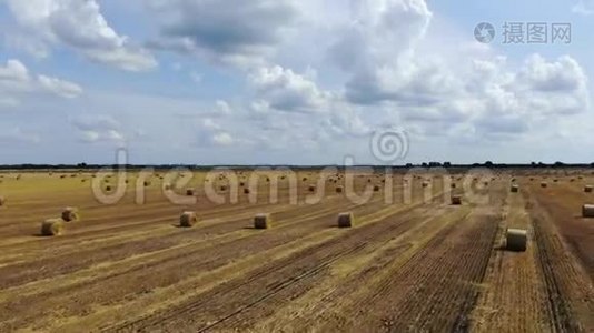 用大量的圆草捆收割后一片大片农田的空中镜头视频