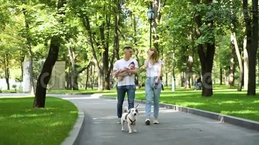 夏季公园里有新生遛狗宝宝的年轻家庭视频